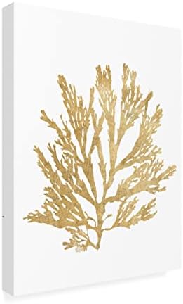 Трговска марка ликовна уметност „Пацифичко море мовс I злато“ платно уметност од портфолио на диво јаболко