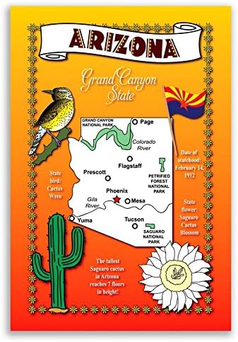 Збир на разгледници на државни мапи во Аризона од 20 идентични разгледници. Поштенски картички со АЗ мапа и државни симболи.