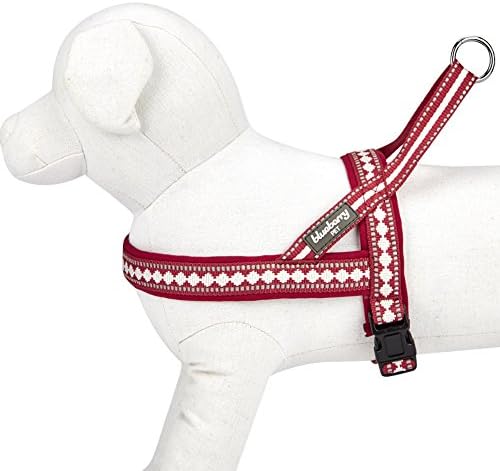 Боровинки миленичиња 4 бои меки и удобни 3м рефлексивни jacquard harness harness, градите на градите 30 - 38,5, виолетова сива,