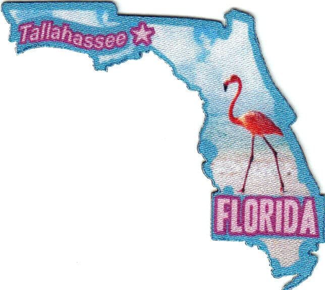 Талахасие Флорида Државен облик Капитол Сити железо на печатено лепенка